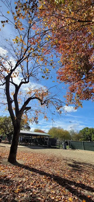 Utah Dog Park 2