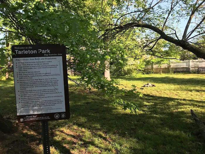 Holmes Run Dog park 4