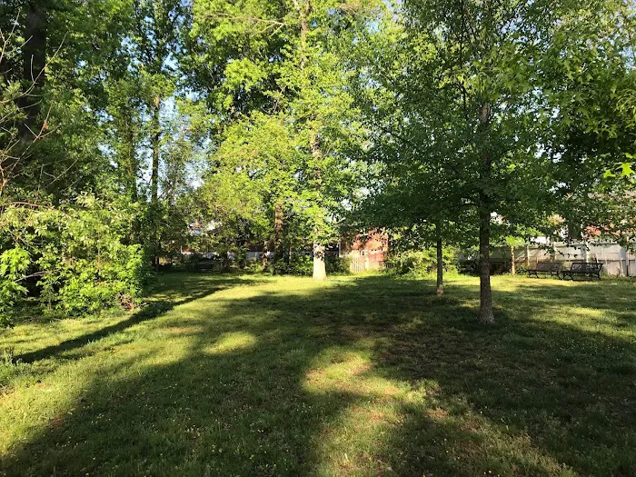 Holmes Run Dog park 6