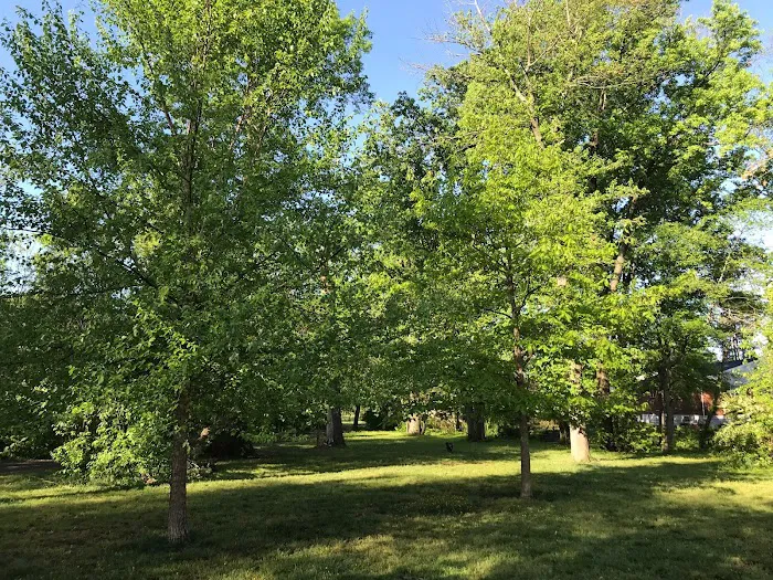 Holmes Run Dog park 1