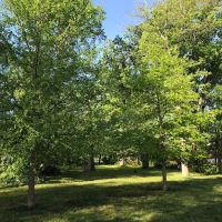 Holmes Run Dog park ico