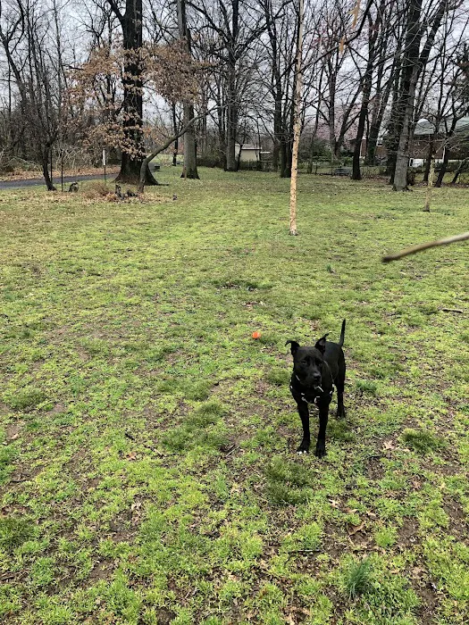 Holmes Run Dog park 5