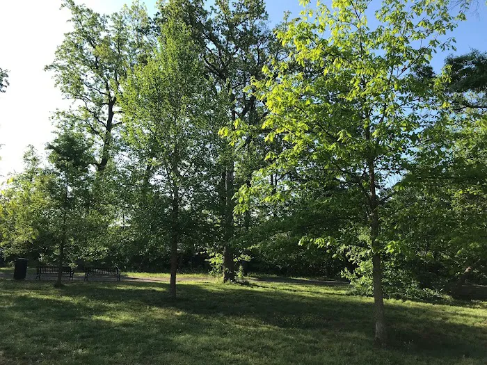 Holmes Run Dog park 3