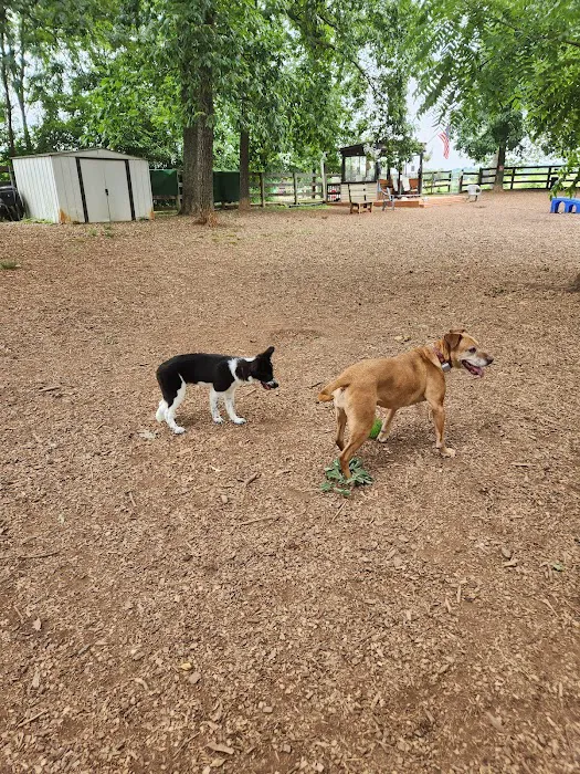 Vint Hill Dog Park 9