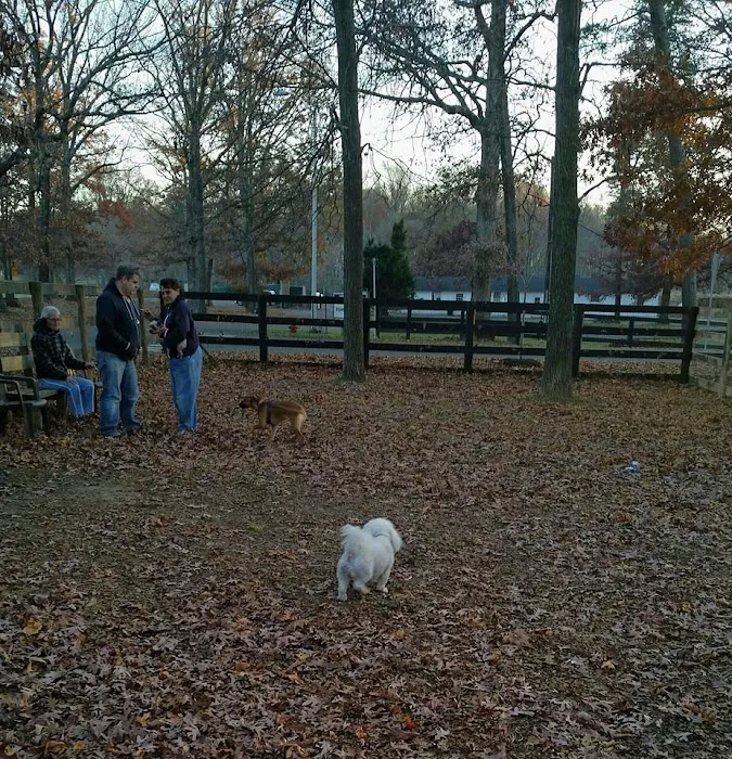 Vint Hill Dog Park 10