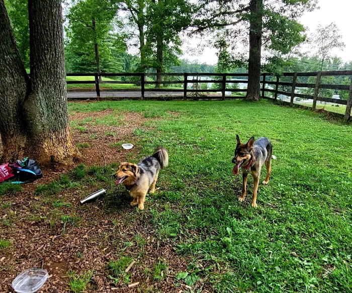Vint Hill Dog Park 1