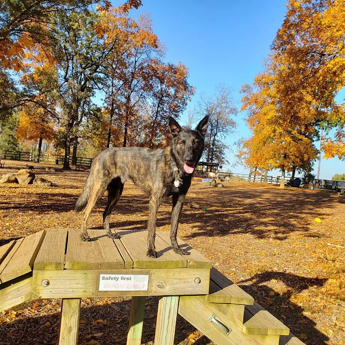 Vint Hill Dog Park 7