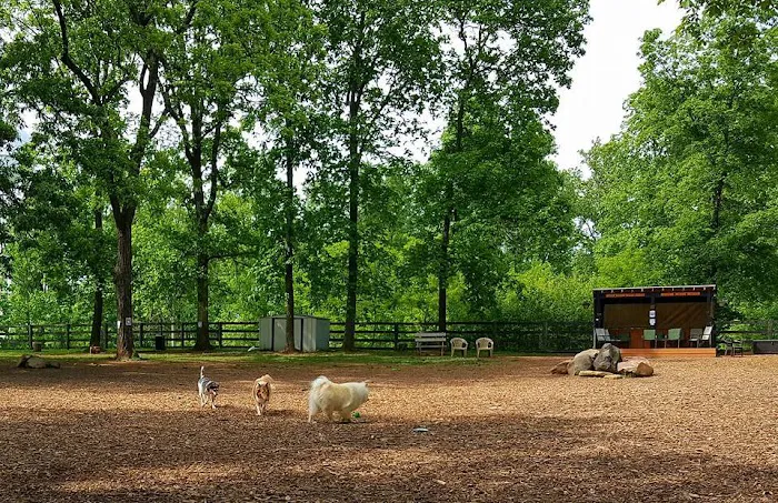 Vint Hill Dog Park 6