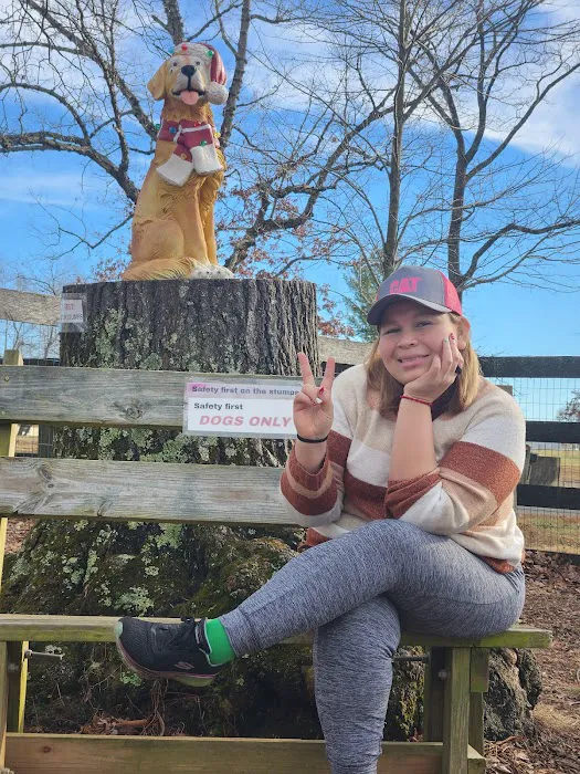 Vint Hill Dog Park 4