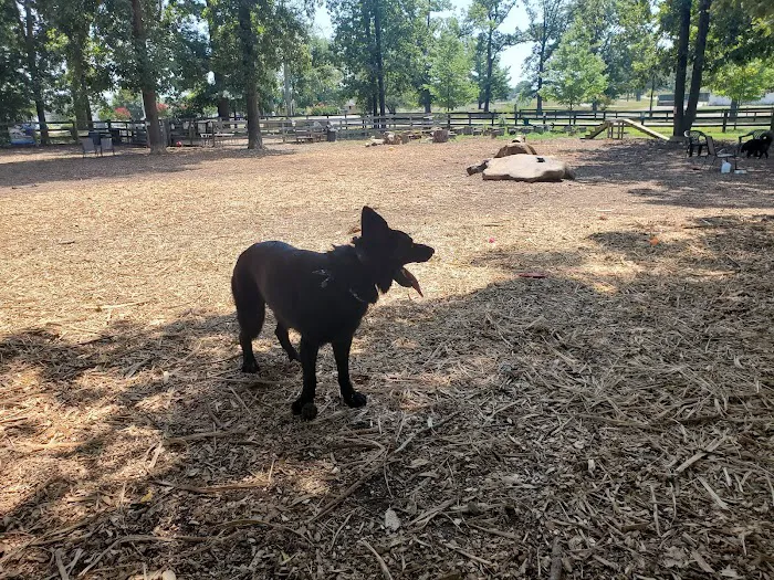 Vint Hill Dog Park 2