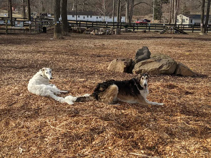 Vint Hill Dog Park 8