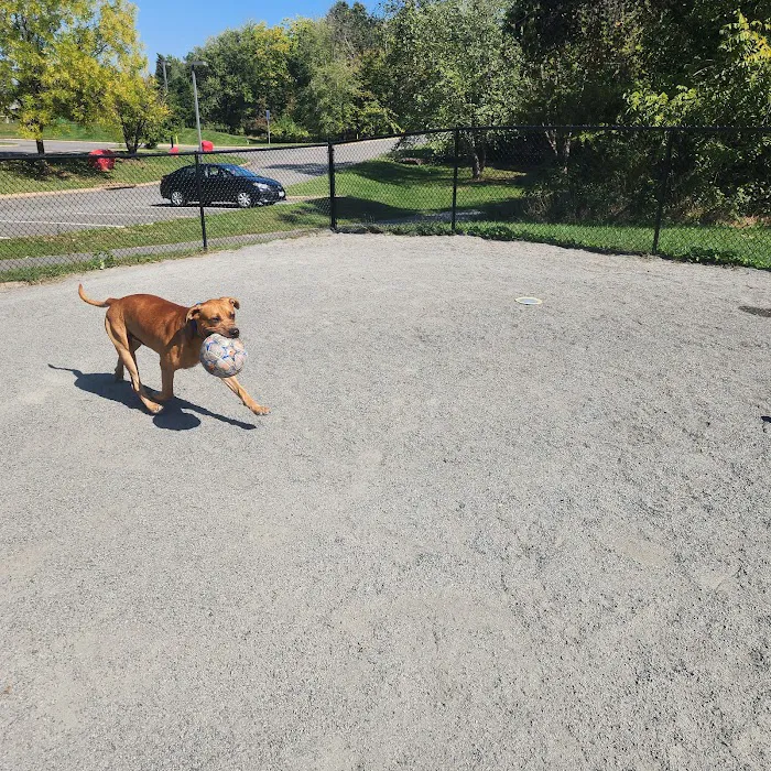 Lucky's Dog Park 8