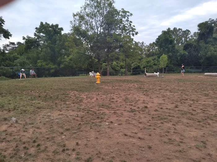 Lucky's Dog Park 1