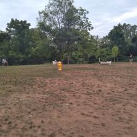 Lucky's Dog Park ico