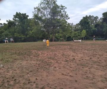 Lucky's Dog Park