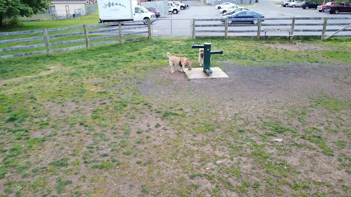 Warrenton Dog Park 3