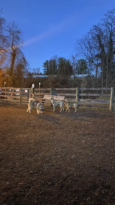 Warrenton Dog Park 5