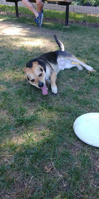 Warrenton Dog Park 7