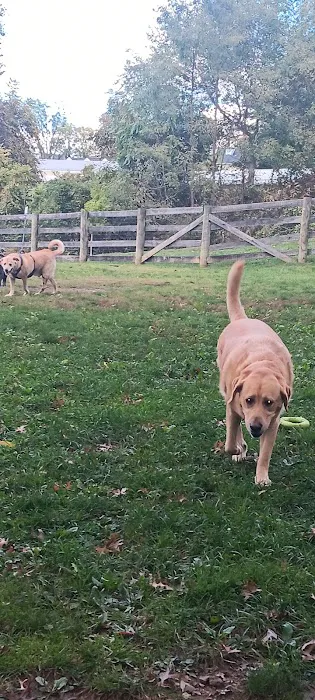 Warrenton Dog Park 1