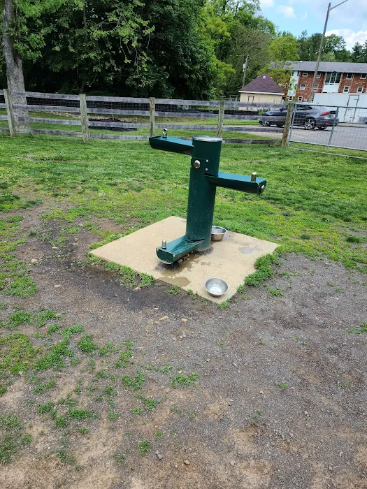 Warrenton Dog Park 10