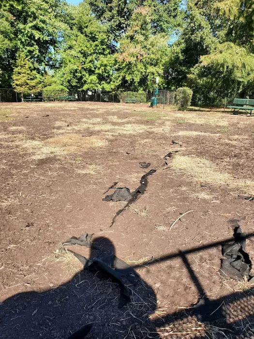 Woodlawn Village Dog Park 3