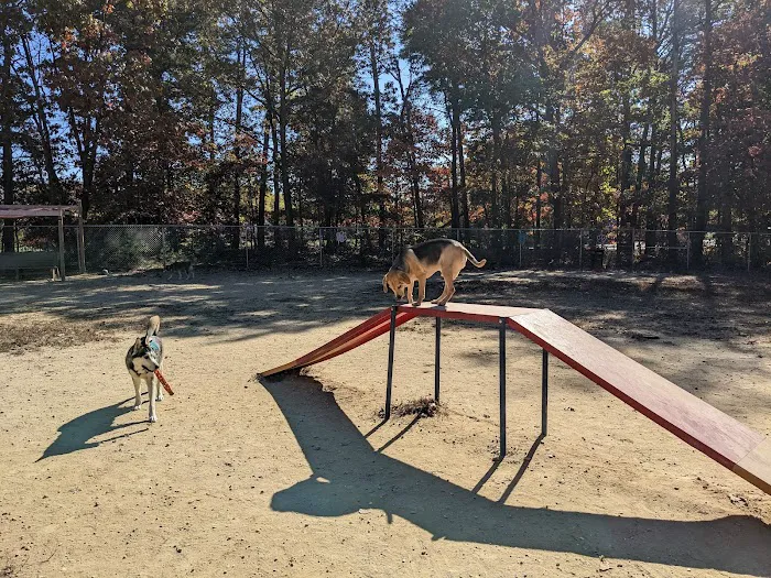 K9 Gunner Memorial Dog Park 10