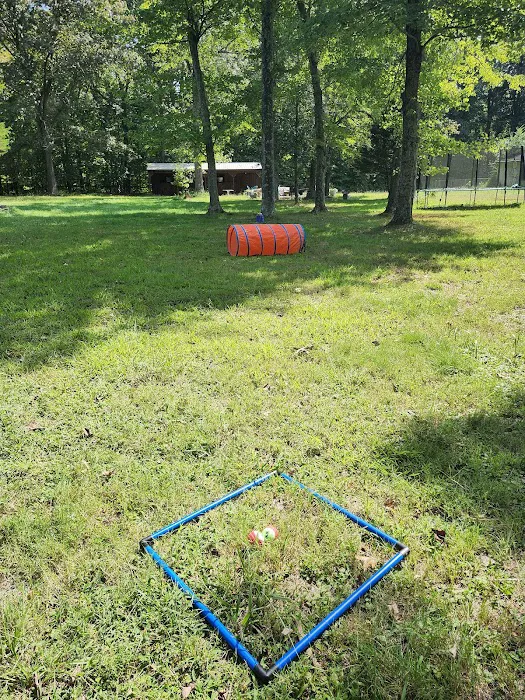 Felicia's Farmette -Dog Park 2