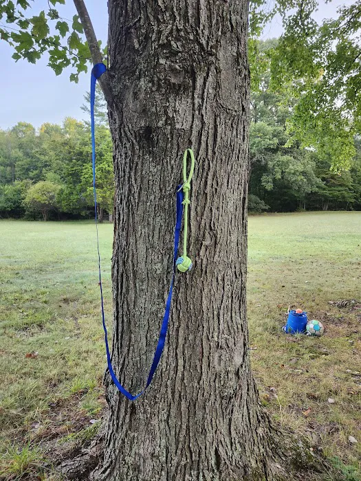 Felicia's Farmette -Dog Park 1