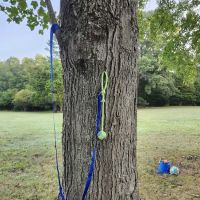 Felicia's Farmette -Dog Park ico
