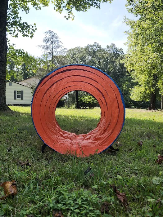 Felicia's Farmette -Dog Park 6