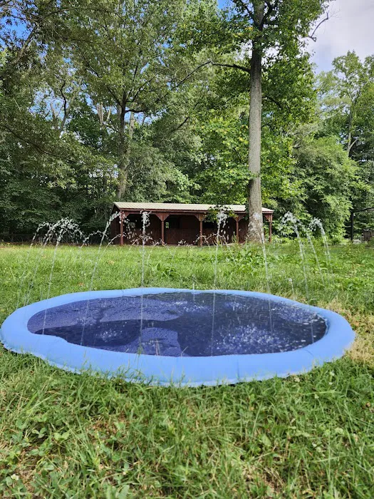 Felicia's Farmette -Dog Park 8