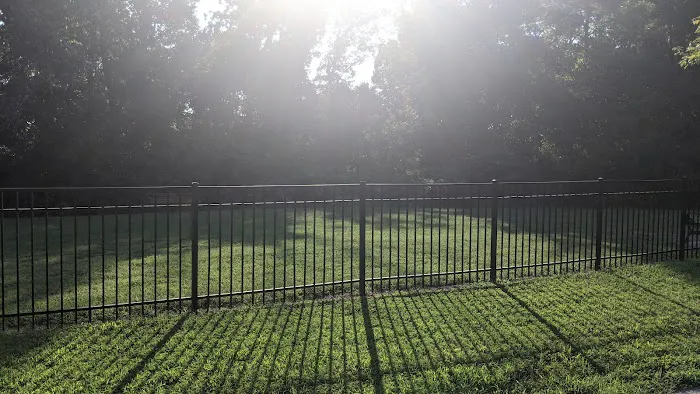 Stanley Dog Park 3