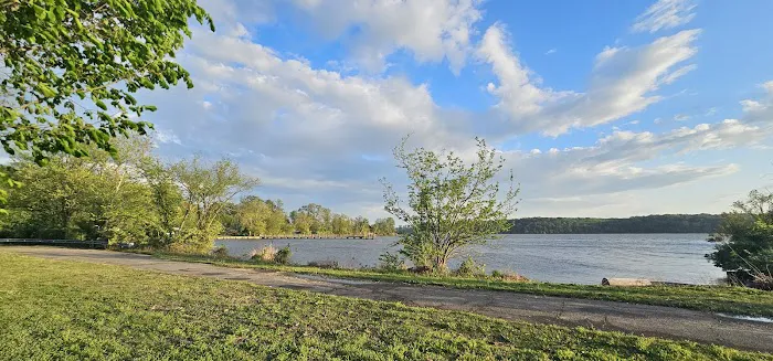 Fort Belvoir Dog Park 8