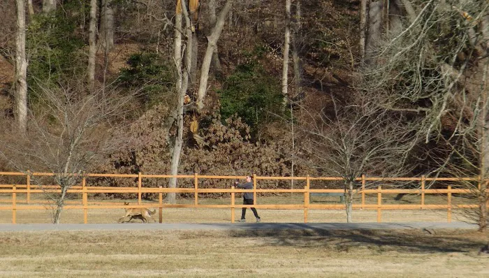 Fort Belvoir Dog Park 10
