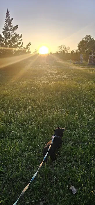 Fort Belvoir Dog Park 5