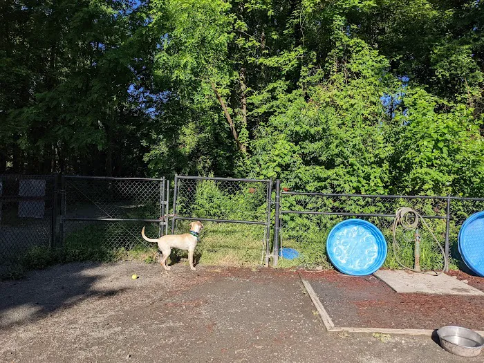 Grist Mill Dog Park 1