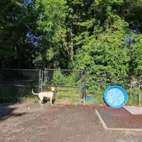 Grist Mill Dog Park ico