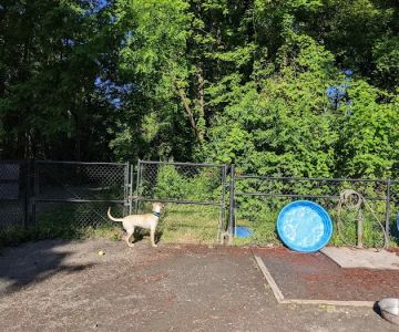 Grist Mill Dog Park