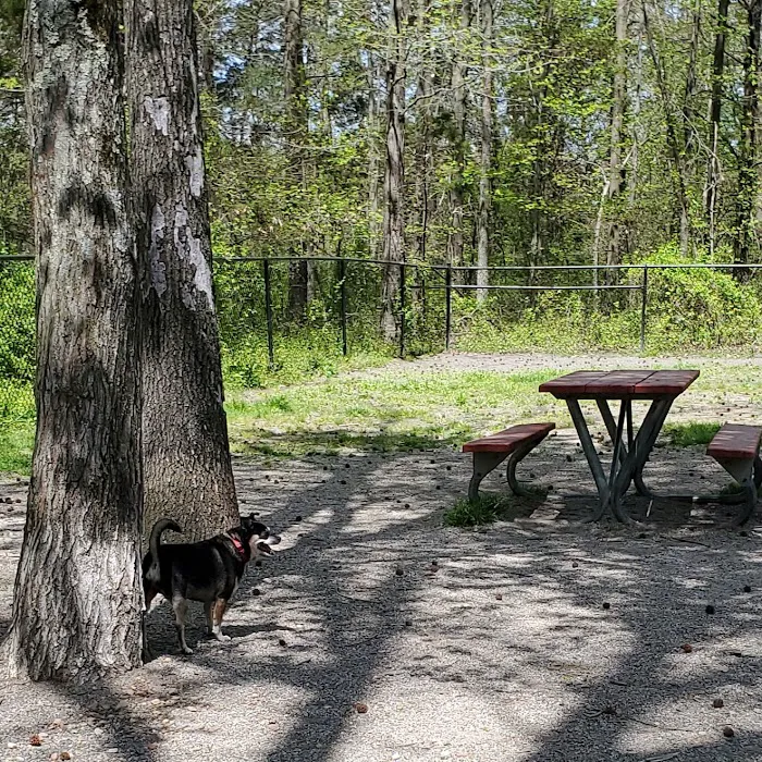 Grist Mill Dog Park 9