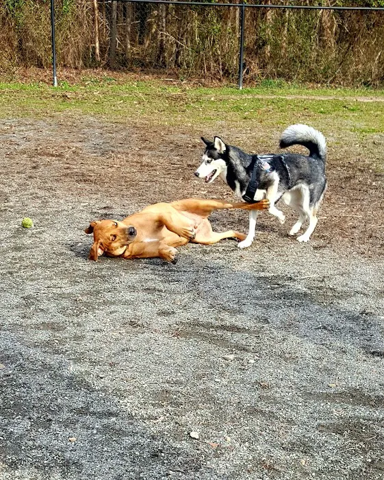 Grist Mill Dog Park 10