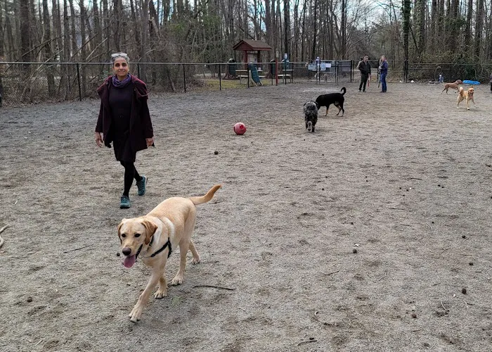 Grist Mill Dog Park 6