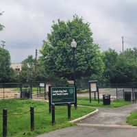 Dog Run Park at Carlyle ico