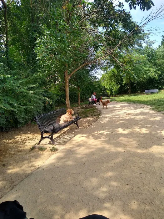 Dog Run Park at Carlyle 3