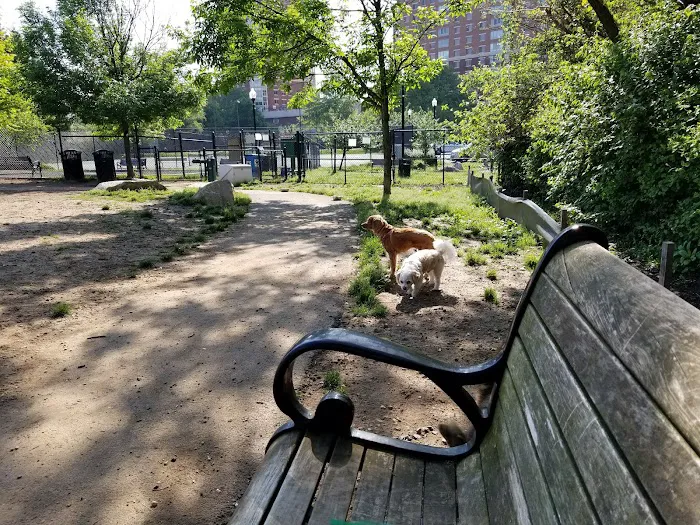 Dog Run Park at Carlyle 8