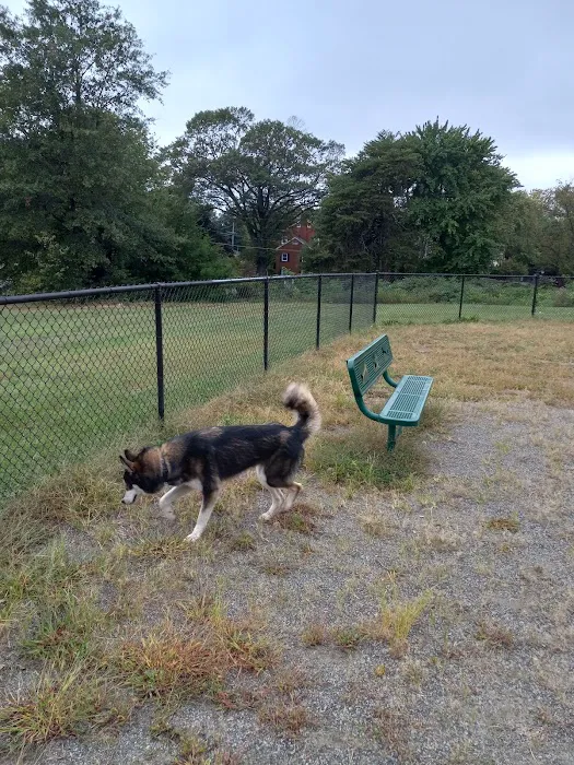 Blackjack Dog Park 3