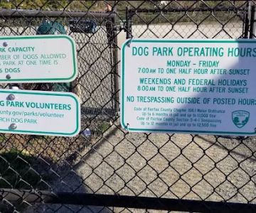 Blackjack Dog Park