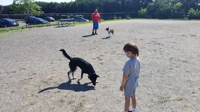 Blackjack Dog Park 8
