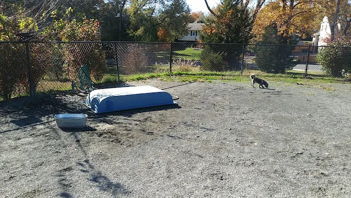 Blackjack Dog Park 5