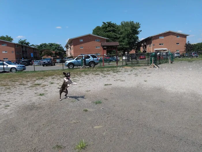Blackjack Dog Park 10