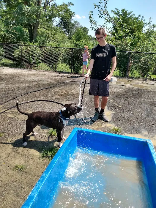 Blackjack Dog Park 7